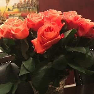 Meet your Posher, Nerlie